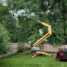 Best Tree Risk Assessment  in USA